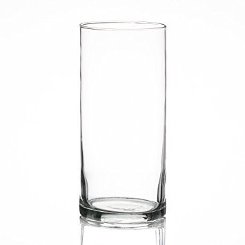 8 inch Glass Vase